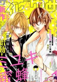 野猫与狼 (Raw – Free)