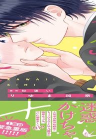 かわいいきみ 美人な幼馴染と平凡な僕 (Raw – Free)